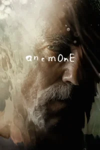 Read more about the article Anemone (2025)